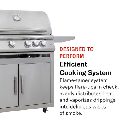 Blaze Gas Grill | 32-inch Built-in Natural Gas Grill | 4 Burner BBQ | Premium Outdoor Kitchen Grilling Experience | Best in Class Warranty | LTE+ |